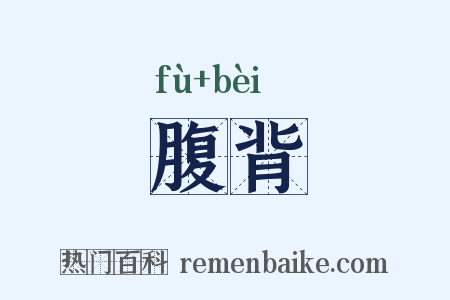 腹背是什么意思的图片